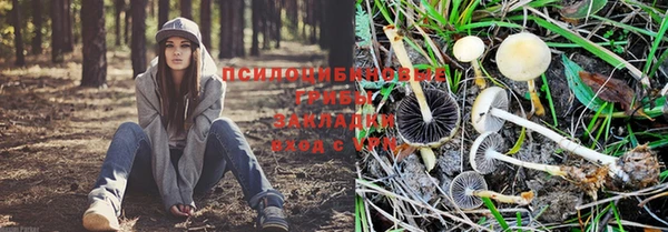 кокаин колумбия Абаза