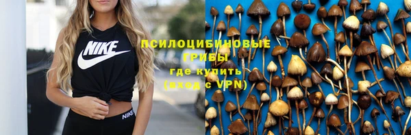 дмт Абинск